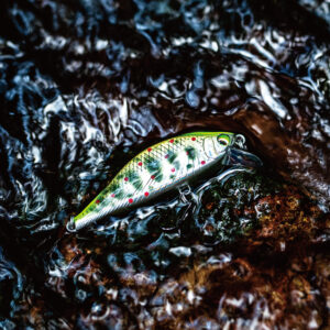 A2 FLAT 45S | 山波商店